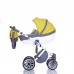 Детская коляска Anex Sport 2 в 1